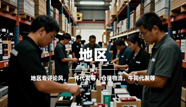 地区使用技巧分享